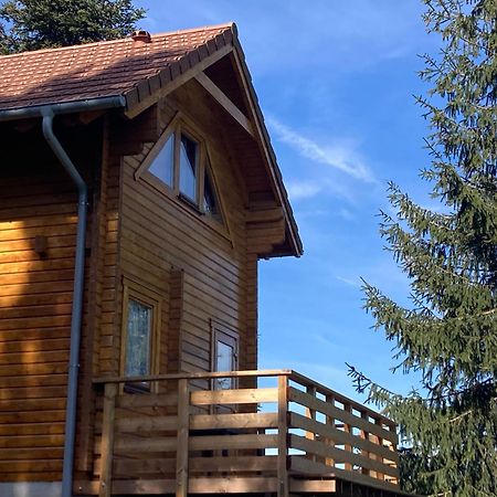 Chalet Authentique Au Calme, En Lisiere De Foret, Montagne, Sentiers 15Mn Gerardmer & Alsace "Chalet Mon Beau Sapin" Anould Bagian luar foto