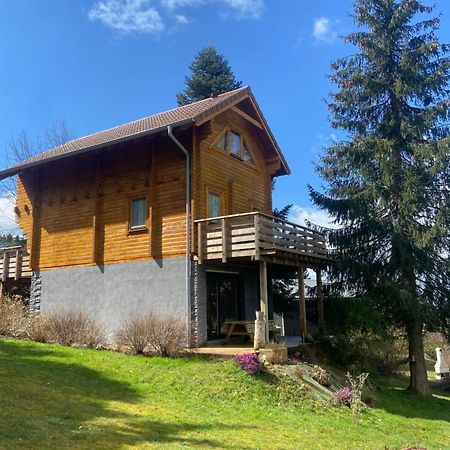 Chalet Authentique Au Calme, En Lisiere De Foret, Montagne, Sentiers 15Mn Gerardmer & Alsace "Chalet Mon Beau Sapin" Anould Bagian luar foto