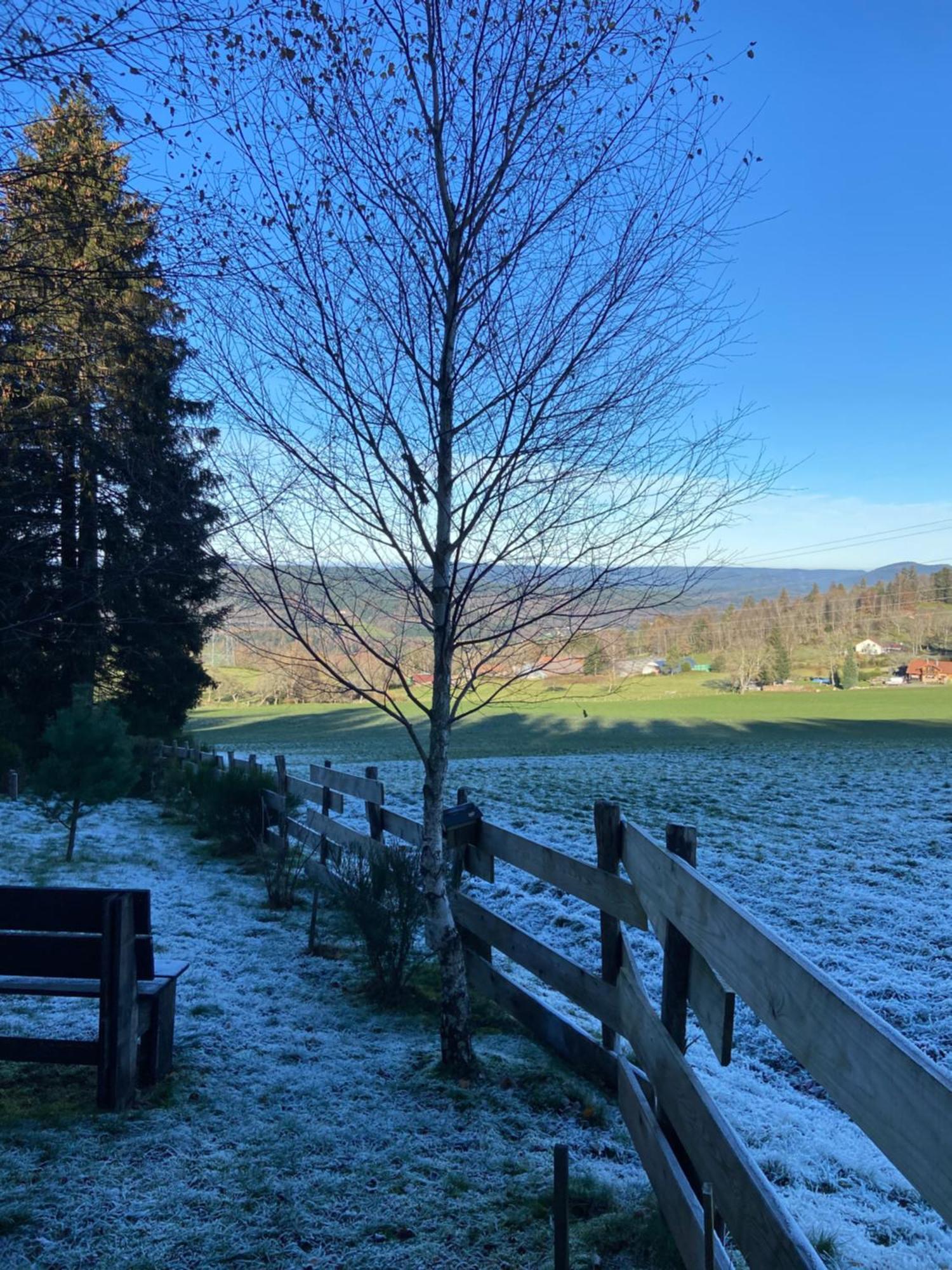 Chalet Authentique Au Calme, En Lisiere De Foret, Montagne, Sentiers 15Mn Gerardmer & Alsace "Chalet Mon Beau Sapin" Anould Bagian luar foto