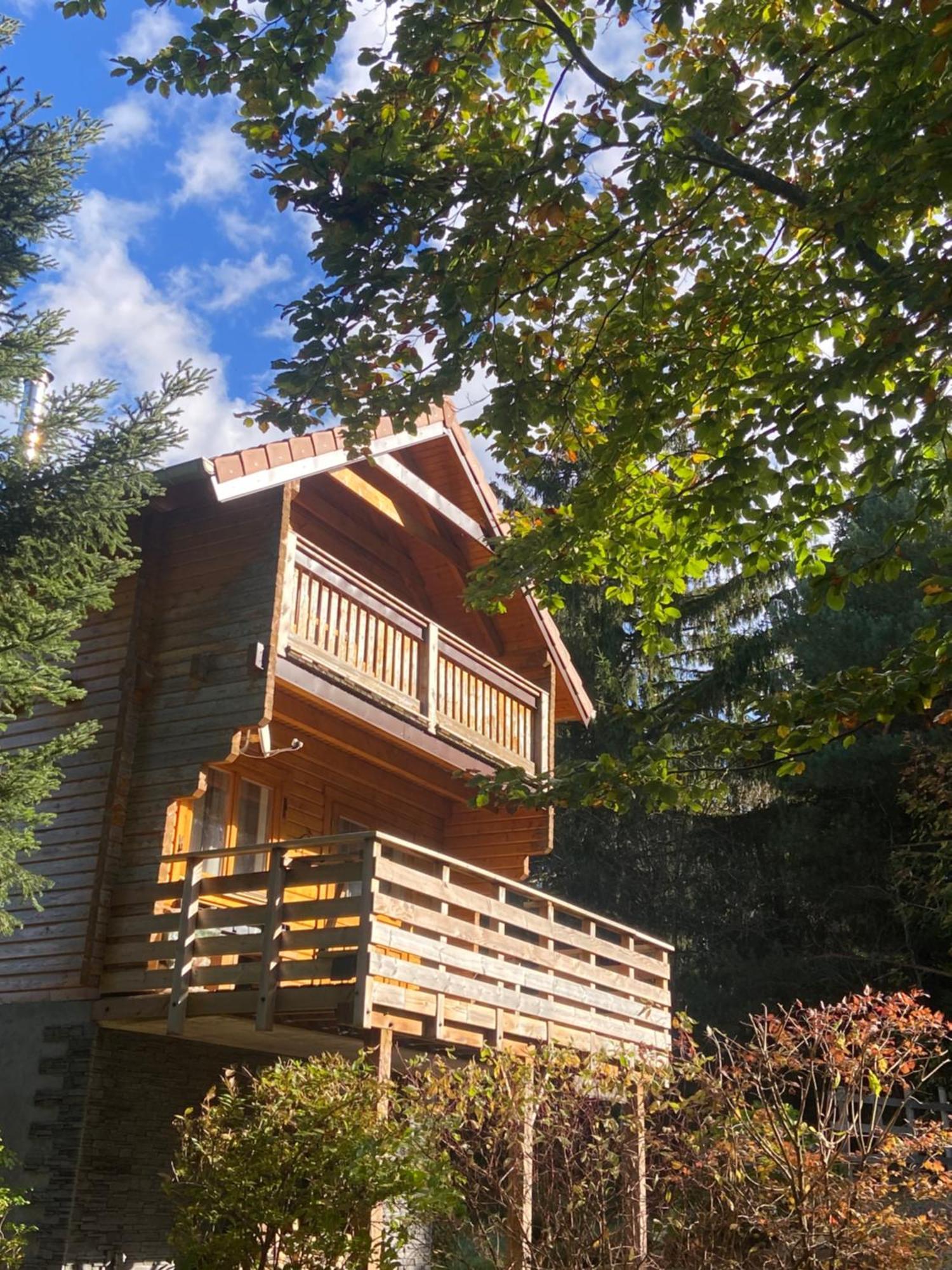 Chalet Authentique Au Calme, En Lisiere De Foret, Montagne, Sentiers 15Mn Gerardmer & Alsace "Chalet Mon Beau Sapin" Anould Bagian luar foto