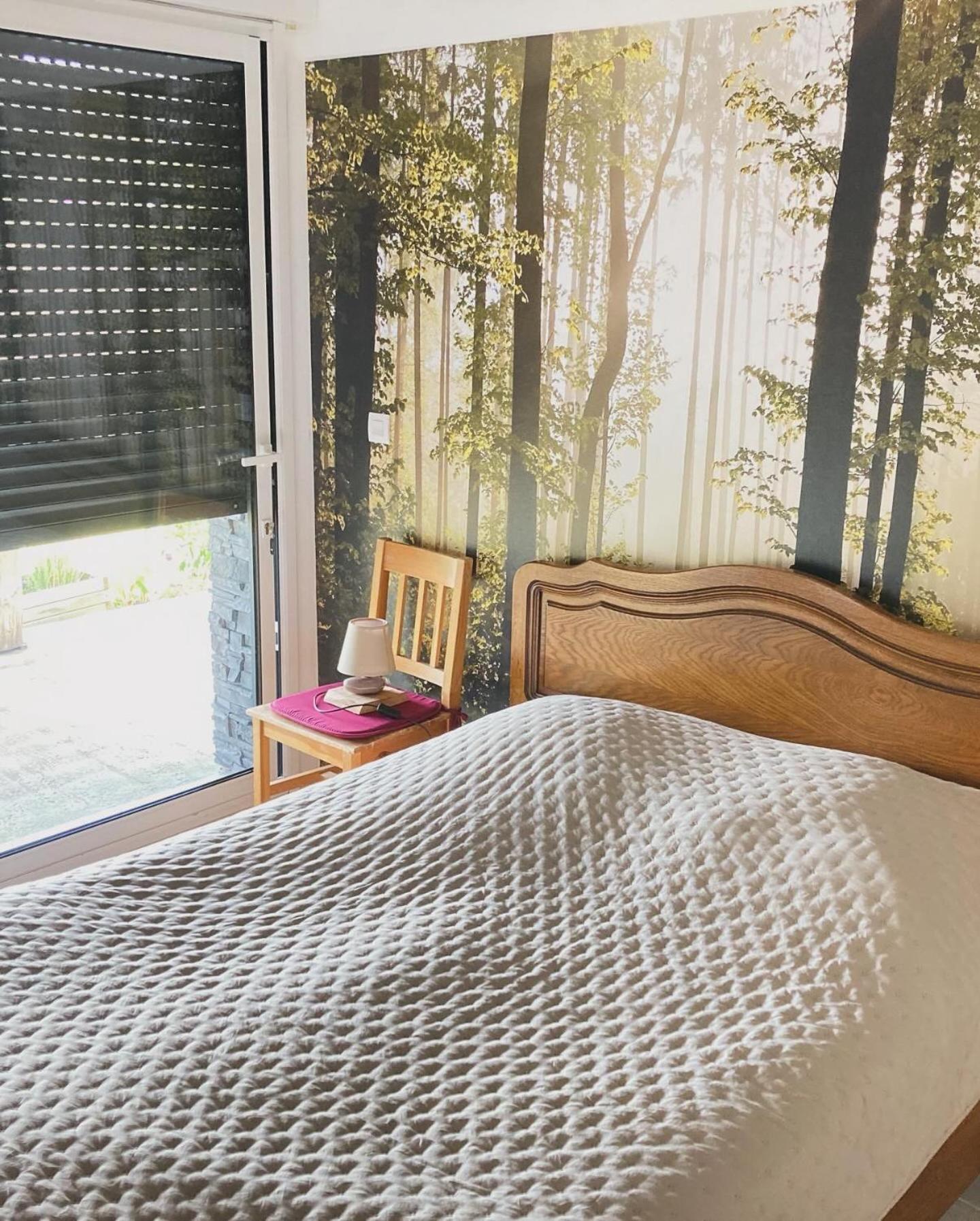Chalet Authentique Au Calme, En Lisiere De Foret, Montagne, Sentiers 15Mn Gerardmer & Alsace "Chalet Mon Beau Sapin" Anould Bagian luar foto