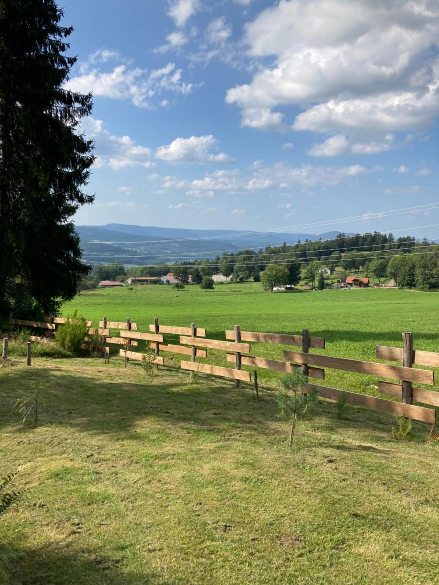 Chalet Authentique Au Calme, En Lisiere De Foret, Montagne, Sentiers 15Mn Gerardmer & Alsace "Chalet Mon Beau Sapin" Anould Bagian luar foto