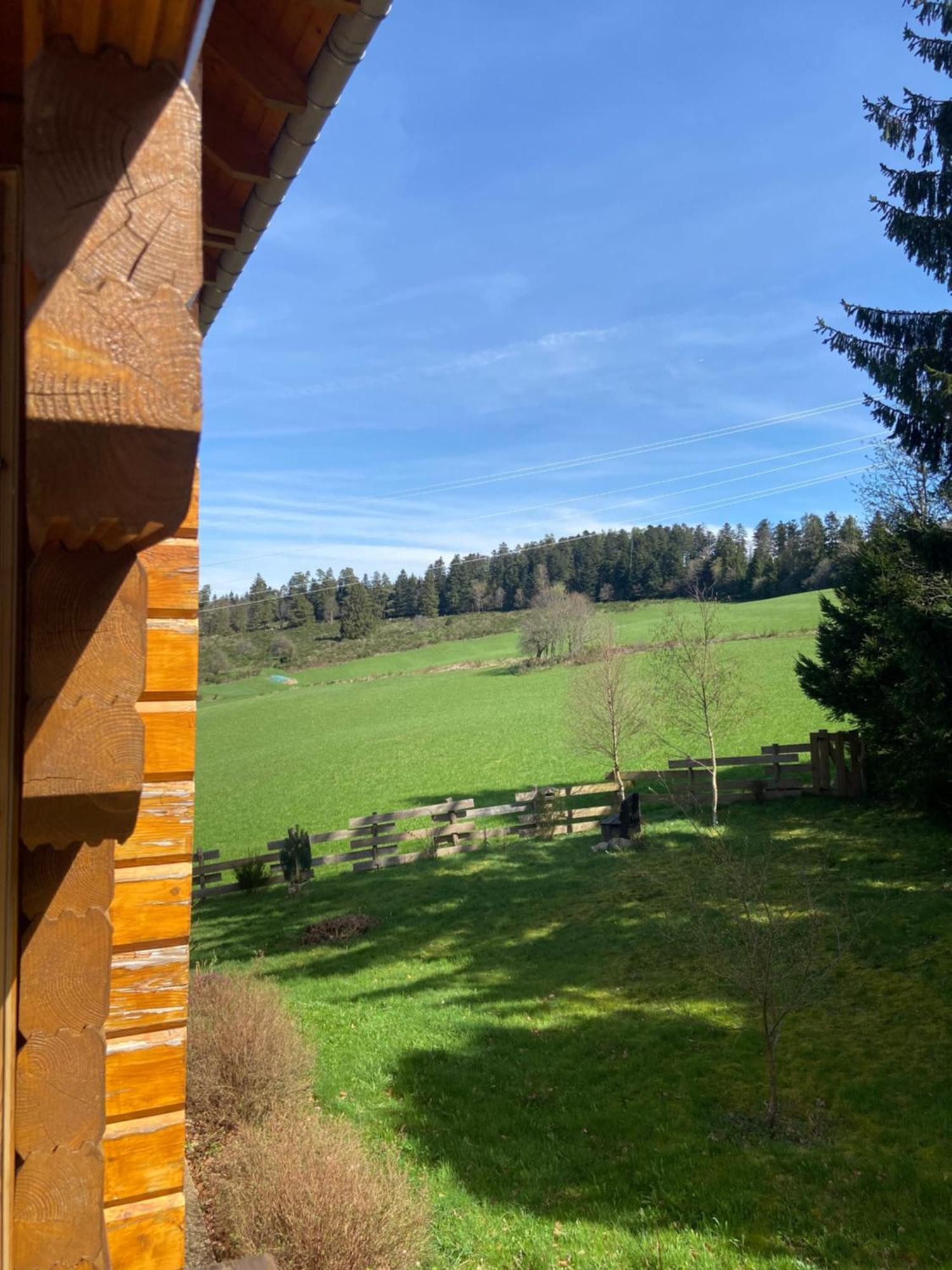 Chalet Authentique Au Calme, En Lisiere De Foret, Montagne, Sentiers 15Mn Gerardmer & Alsace "Chalet Mon Beau Sapin" Anould Bagian luar foto