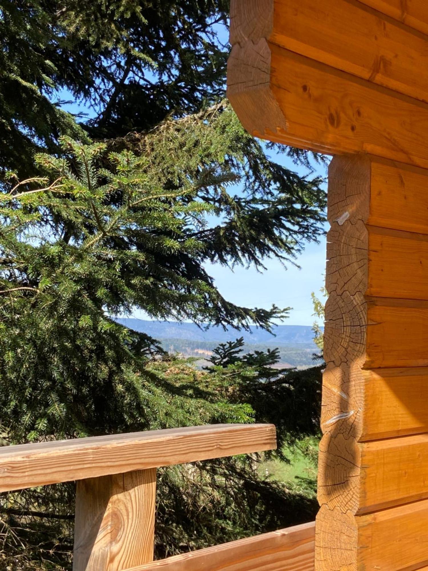 Chalet Authentique Au Calme, En Lisiere De Foret, Montagne, Sentiers 15Mn Gerardmer & Alsace "Chalet Mon Beau Sapin" Anould Bagian luar foto