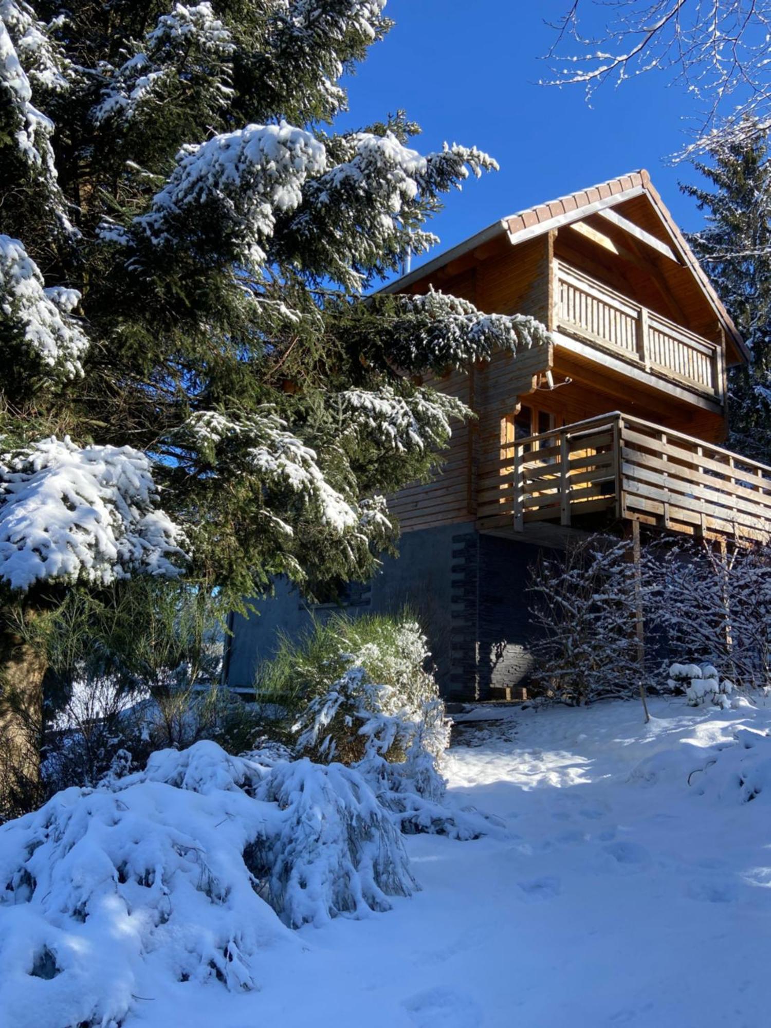 Chalet Authentique Au Calme, En Lisiere De Foret, Montagne, Sentiers 15Mn Gerardmer & Alsace "Chalet Mon Beau Sapin" Anould Bagian luar foto