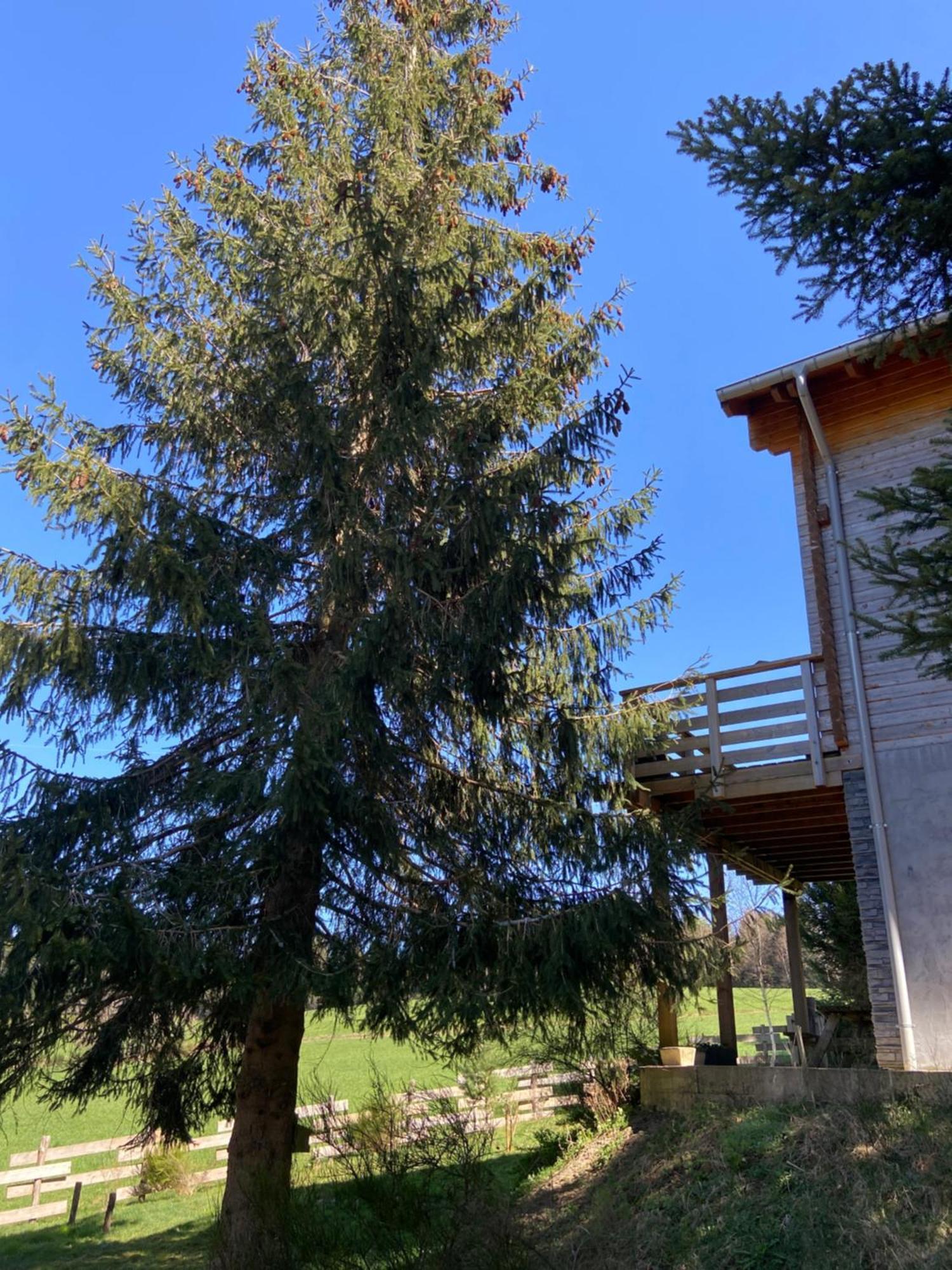 Chalet Authentique Au Calme, En Lisiere De Foret, Montagne, Sentiers 15Mn Gerardmer & Alsace "Chalet Mon Beau Sapin" Anould Bagian luar foto