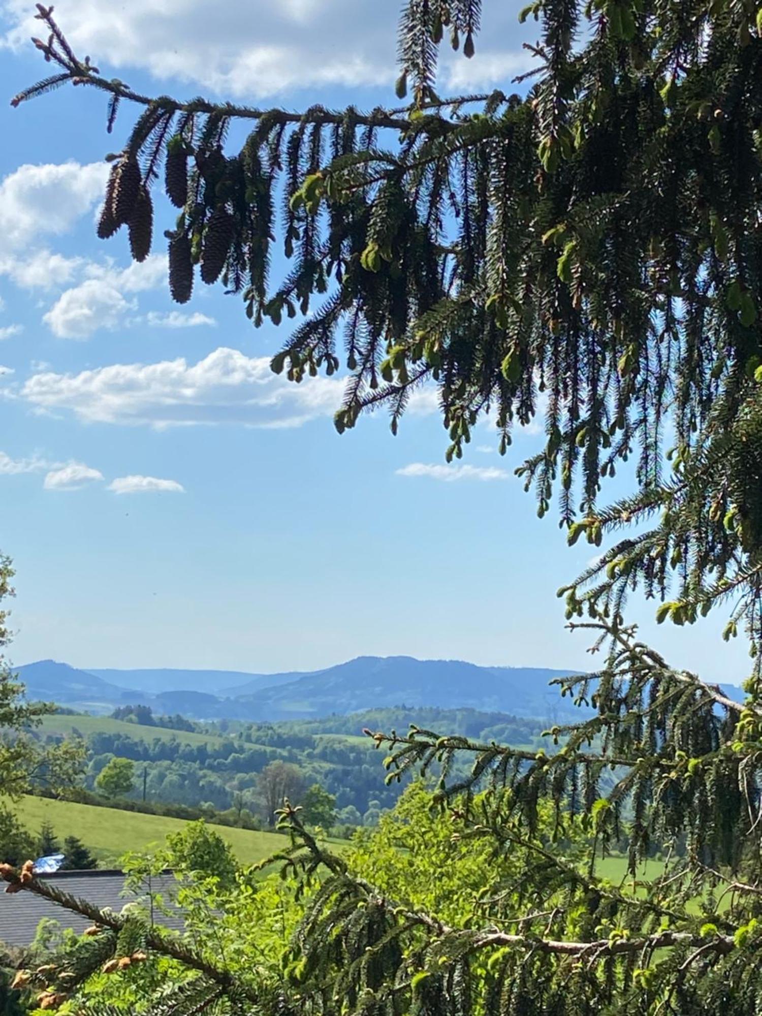 Chalet Authentique Au Calme, En Lisiere De Foret, Montagne, Sentiers 15Mn Gerardmer & Alsace "Chalet Mon Beau Sapin" Anould Bagian luar foto