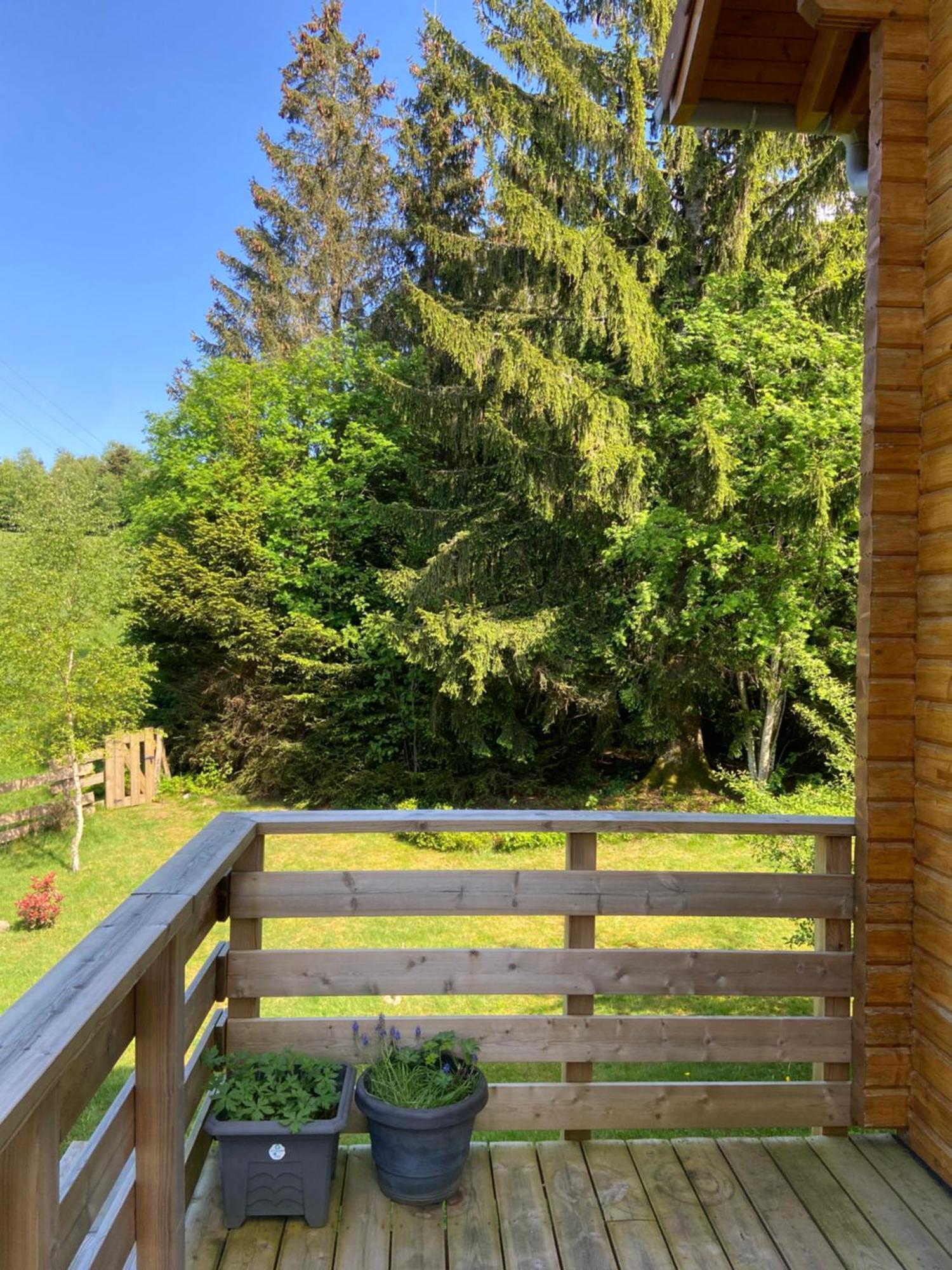 Chalet Authentique Au Calme, En Lisiere De Foret, Montagne, Sentiers 15Mn Gerardmer & Alsace "Chalet Mon Beau Sapin" Anould Bagian luar foto